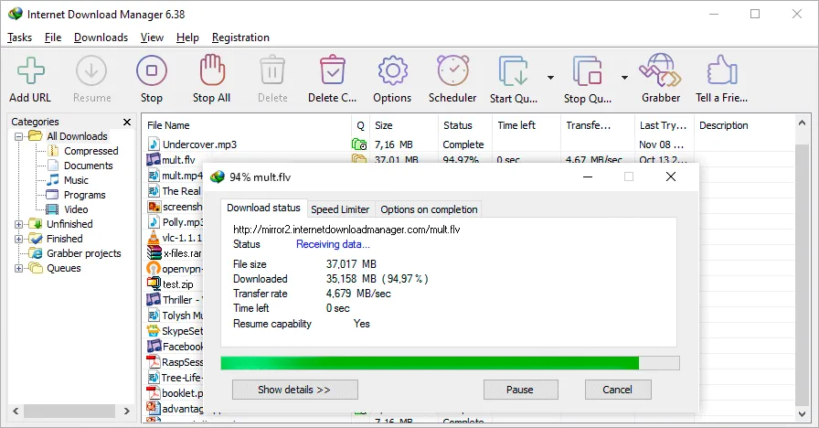 Internet Download Manager Interface Screenshot