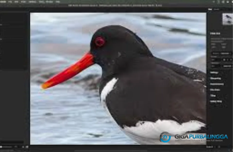 ON1 Resize AI Full Version