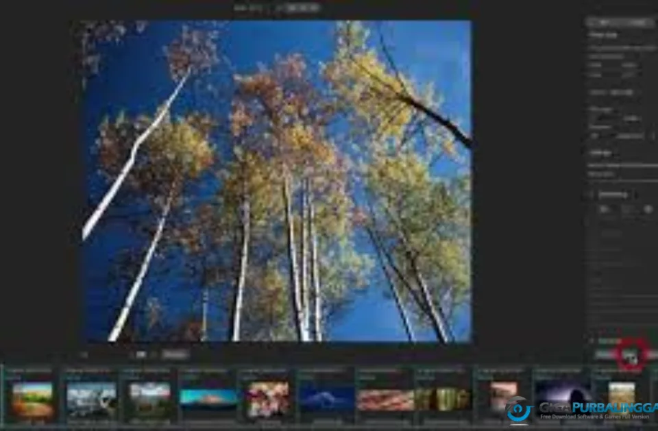ON1 Resize AI Download Gigapurbalingga
