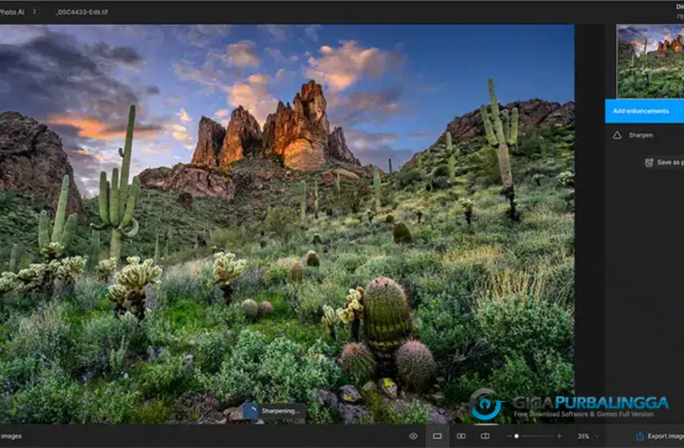 Topaz Photo AI Full Version