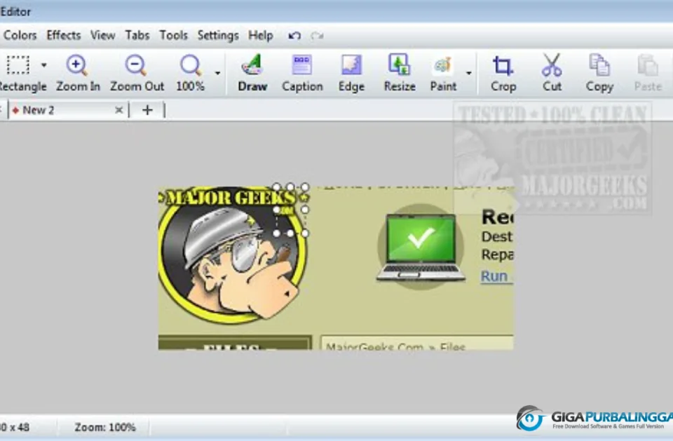 FastStone Capture Download Gigapurbalingga
