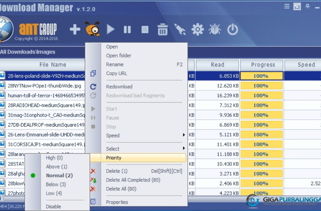 Ant Download Manager Pro Download Gigapurbalingga
