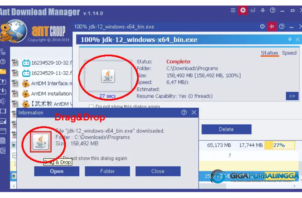 Ant Download Manager Pro Full Version Download
