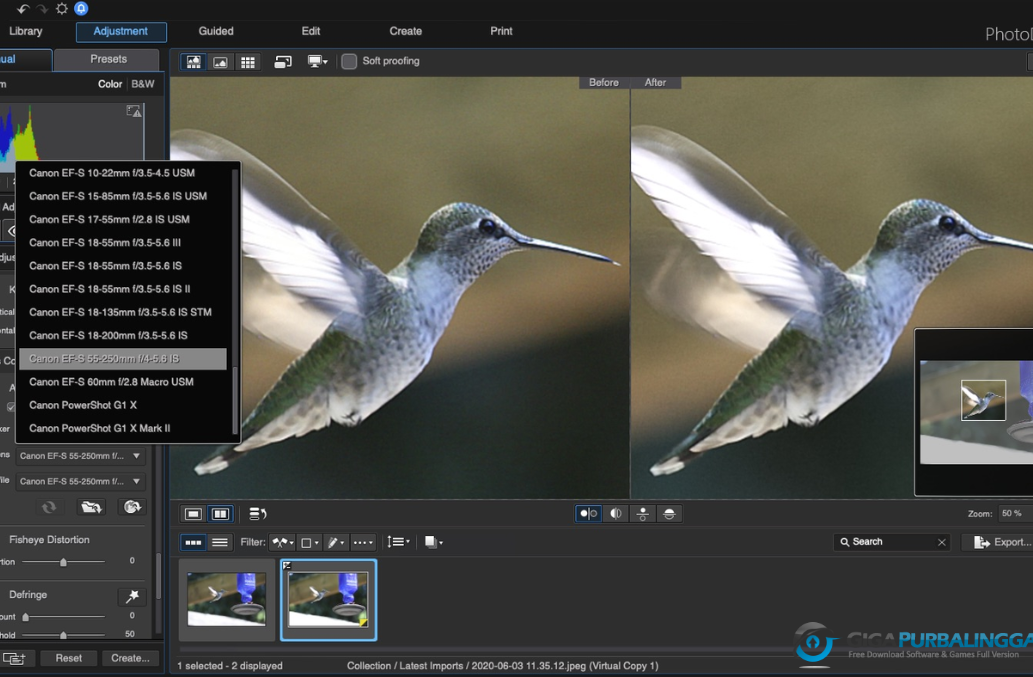 CyberLink PhotoDirector Ultra Download Gigapurbalingga