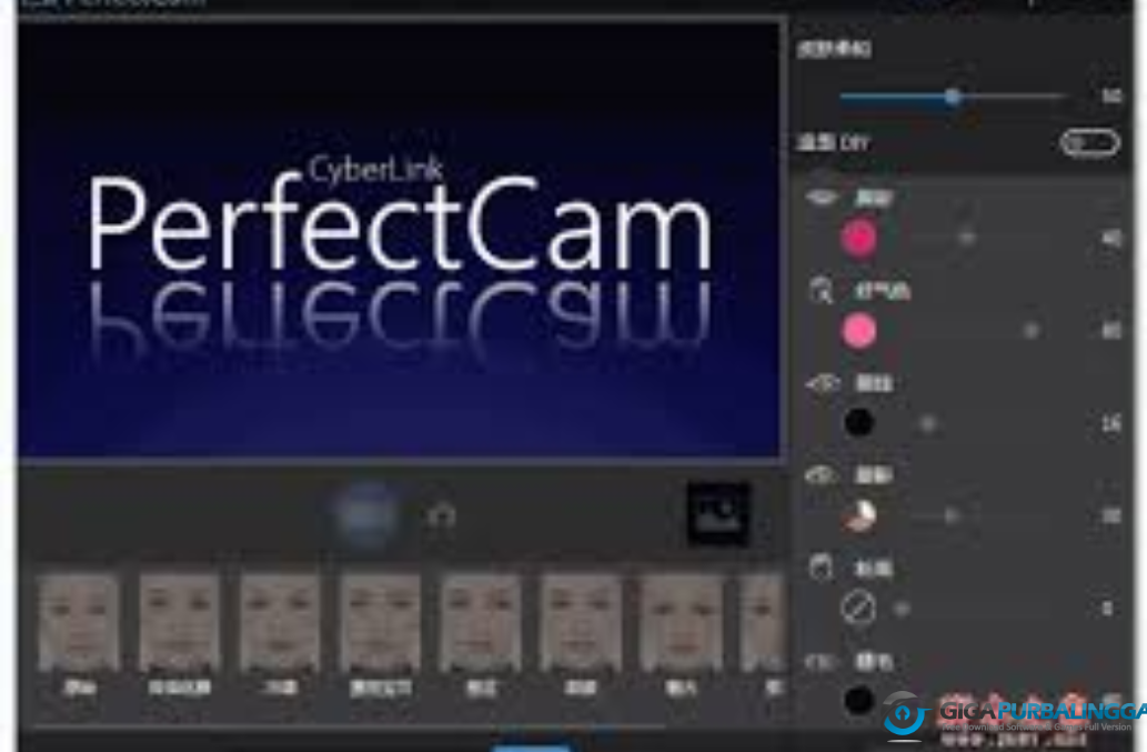 Cyberlink PerfectCam Premium Download Gigapurbalingga