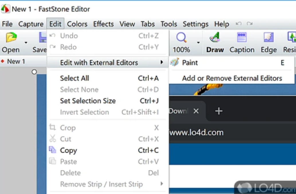 FastStone Capture Full Version Download