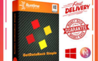Runtime GetDataBack Pro Runtime GetDataBack Pro