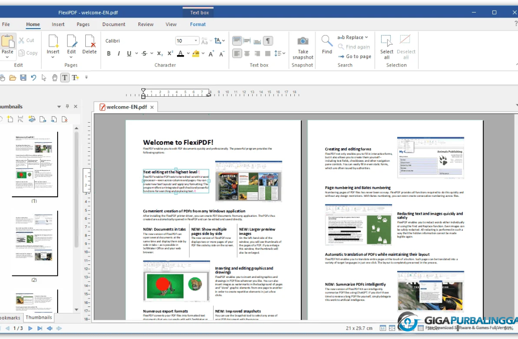SoftMaker FlexiPDF Pro Download Gigapurbalingga